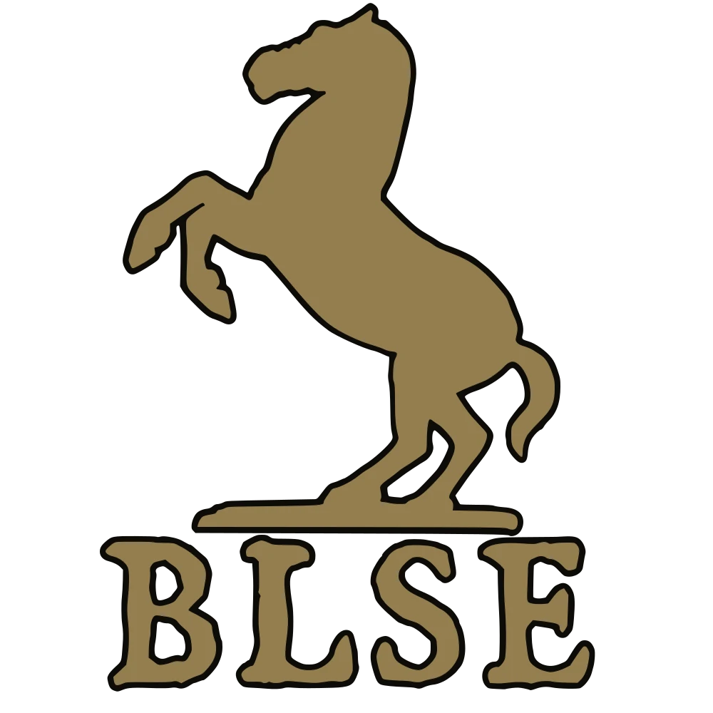 Bannerlord Software Extender (BLSE)封面