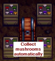 Automate（自动化）封面