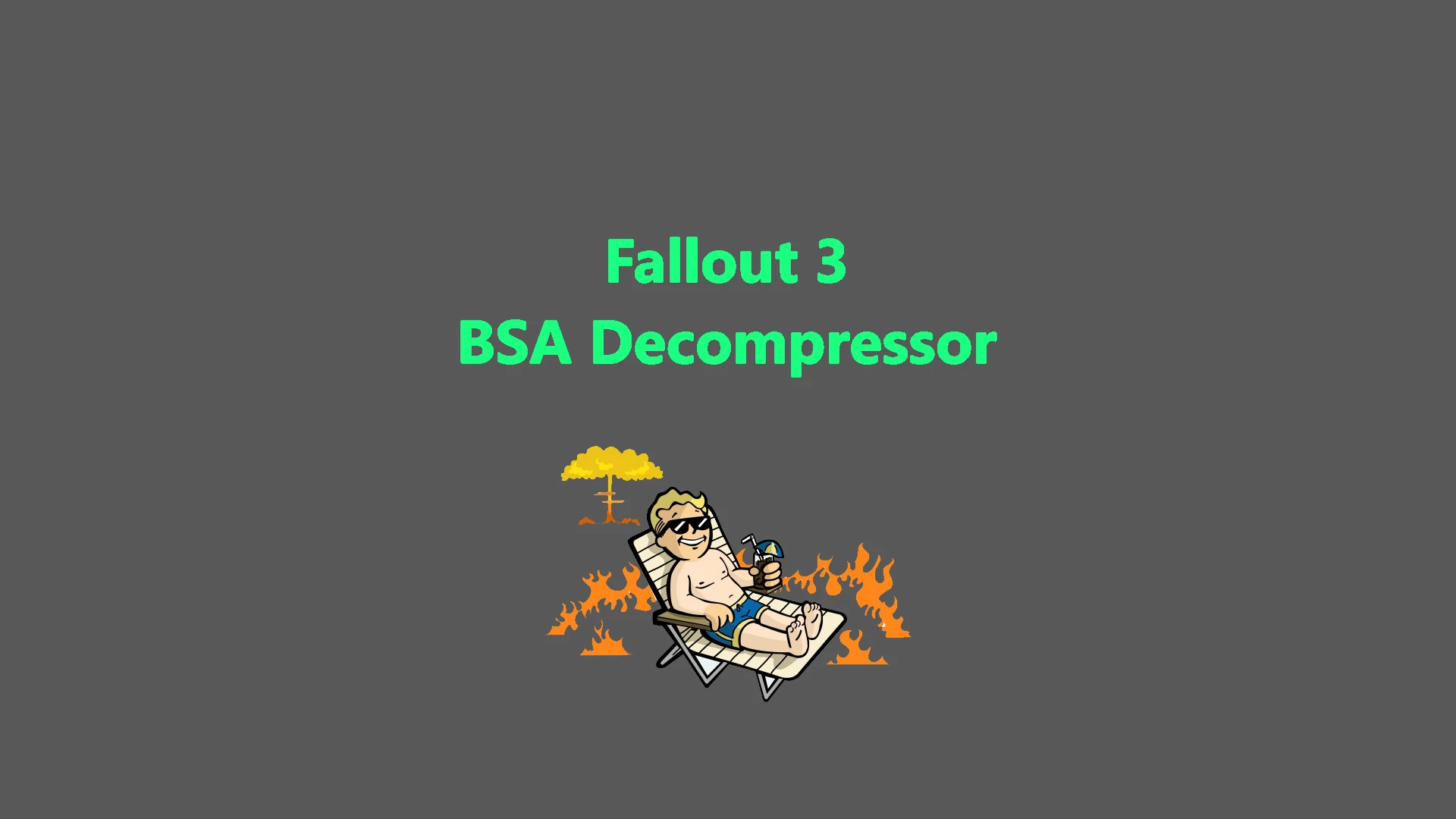 FO3 BSA 减压器