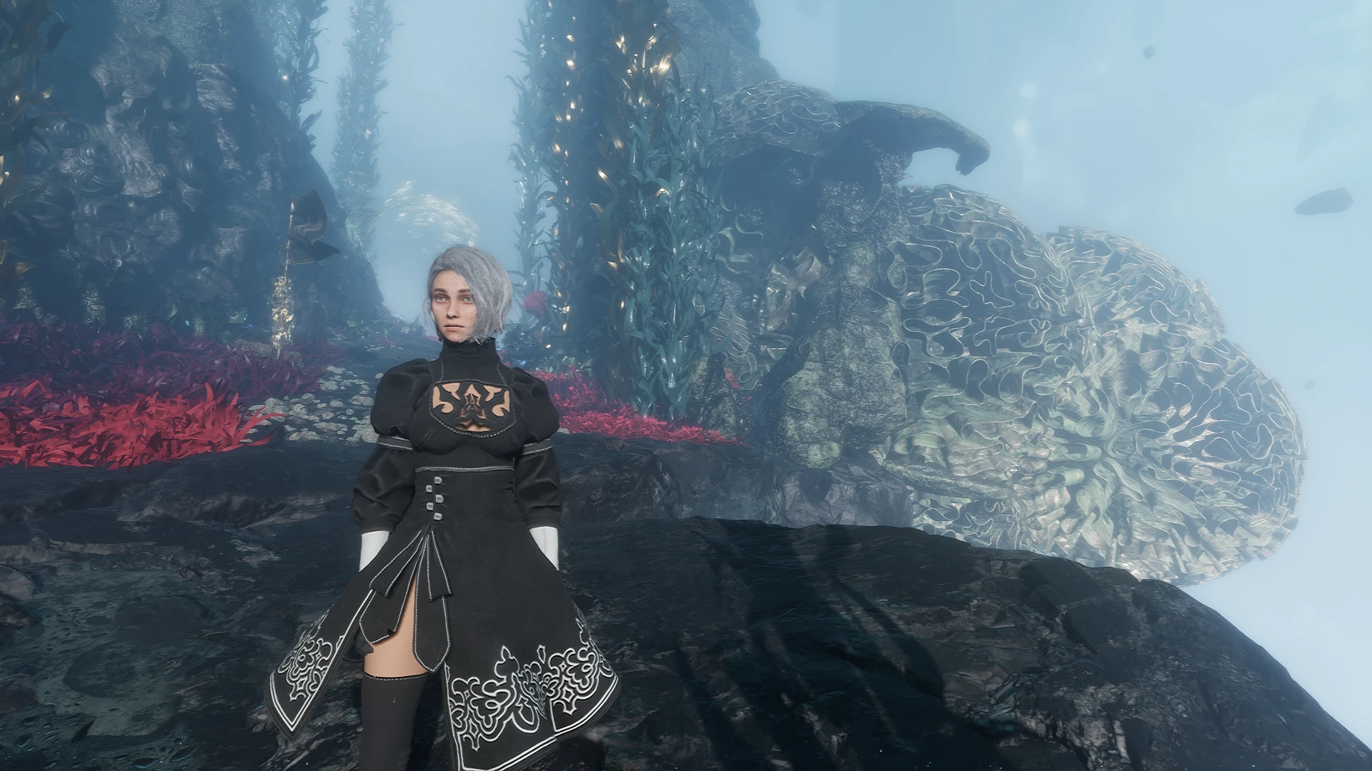 2B 梅勒封面