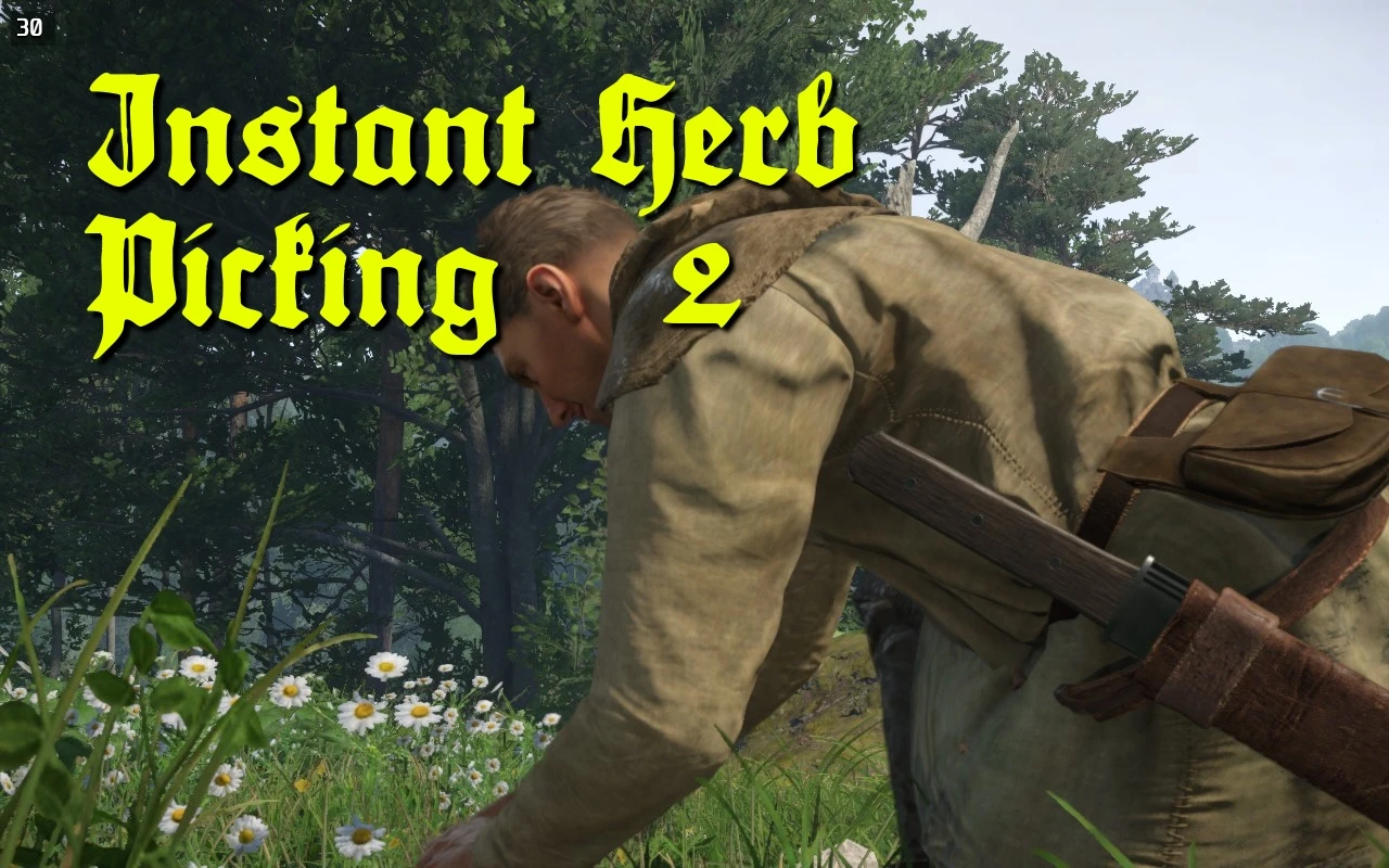 Instant Herb Picking II（瞬间采药 II）封面