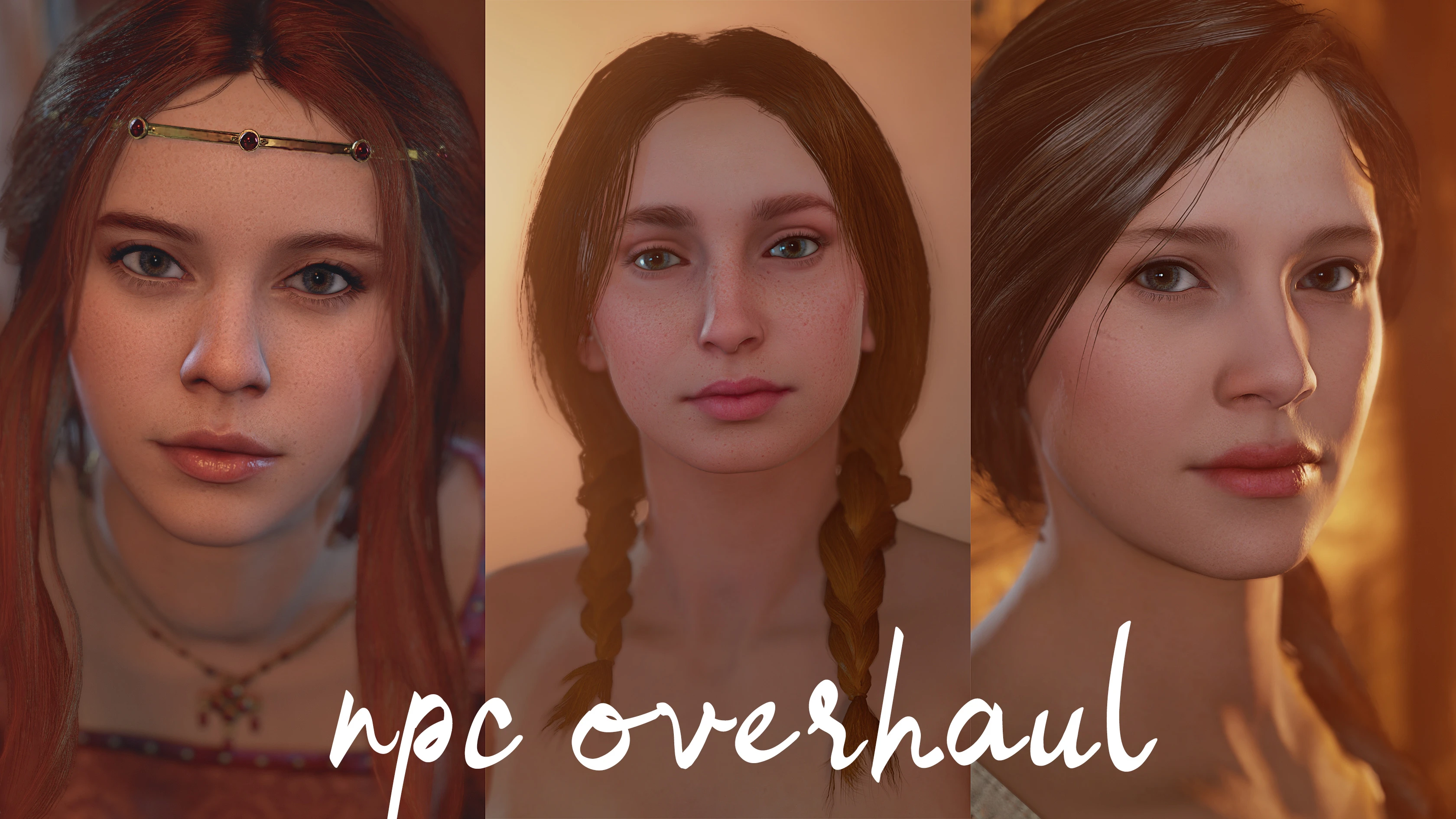 NPC Overhaul(NPC 外观重制)封面