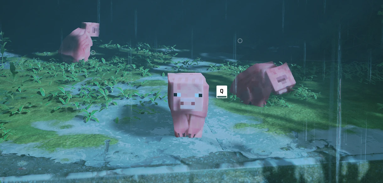 我的世界 猪战胜流浪猫