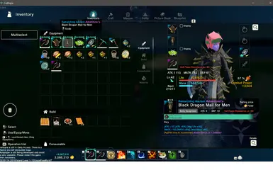 Custom Inventory封面