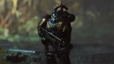 True Solo for Astartes Overhaul or Vanilla封面