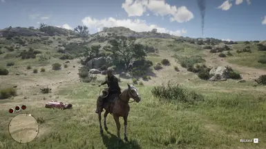 The Lasso of Healing封面