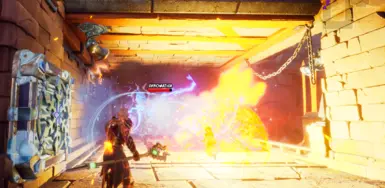 Xerulized封面