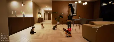 Cats and Dogs as Pet (add-on)封面