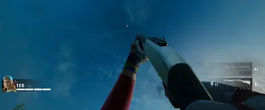Weapon FOV (110 or 120)封面