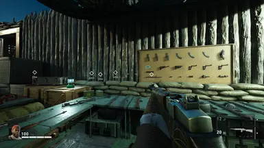 Weapons Overhaul封面