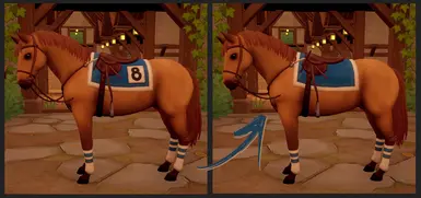 Racing Saddle Pad (No Numbers)封面