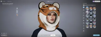 Tiger Hat (Unique Item)封面
