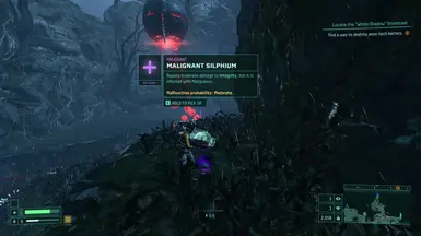 No curses from items封面