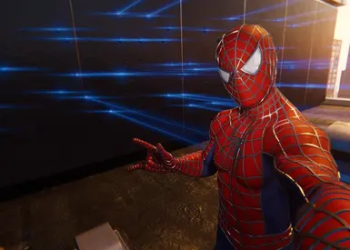 Infinite Webs and Web Gadgets封面