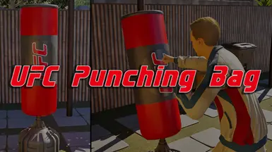 UFC Punching Bag