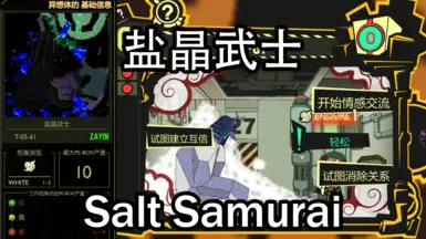 Salt Samurai封面