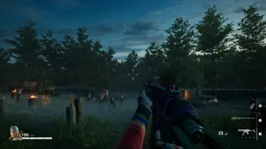 More Weapon FOVs (RPK and AK fixed)封面