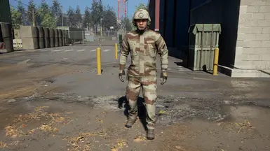 French Camo CCE and Daguet封面