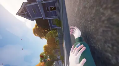 Animations Patch封面