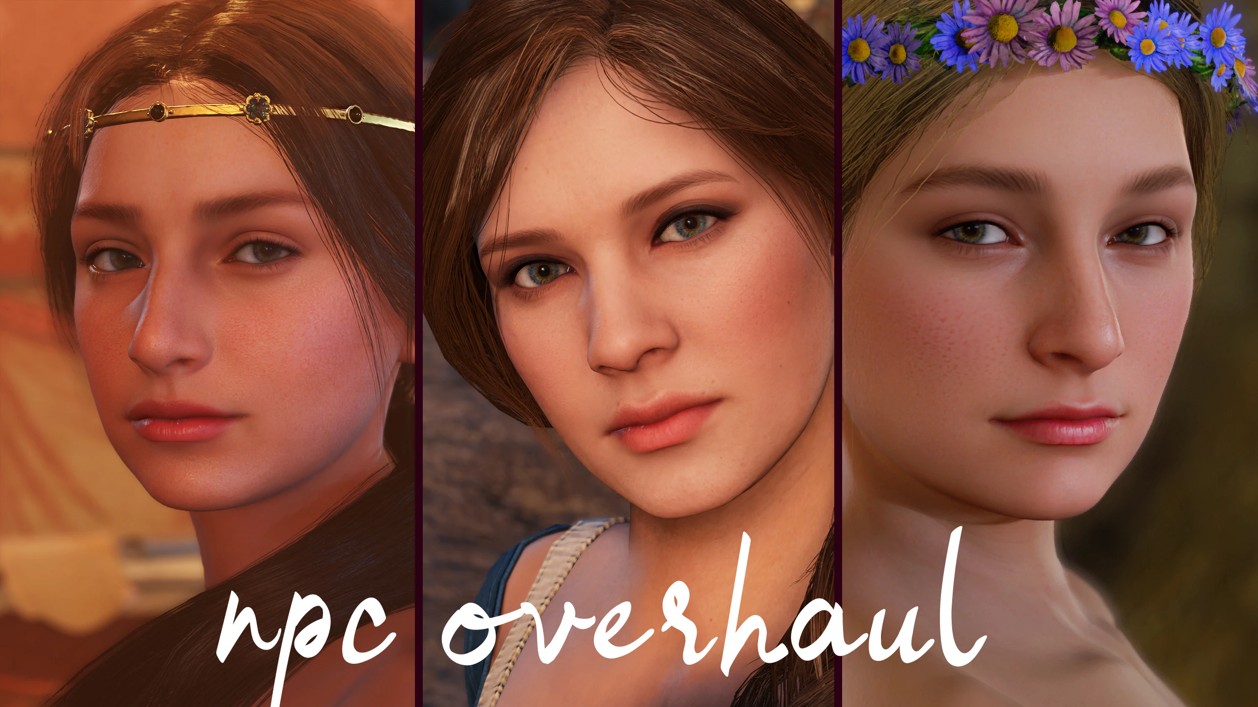 NPC Overhaul（NPC 外观重制）
