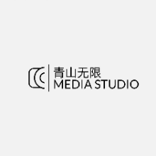青山游戏汉化组的头像